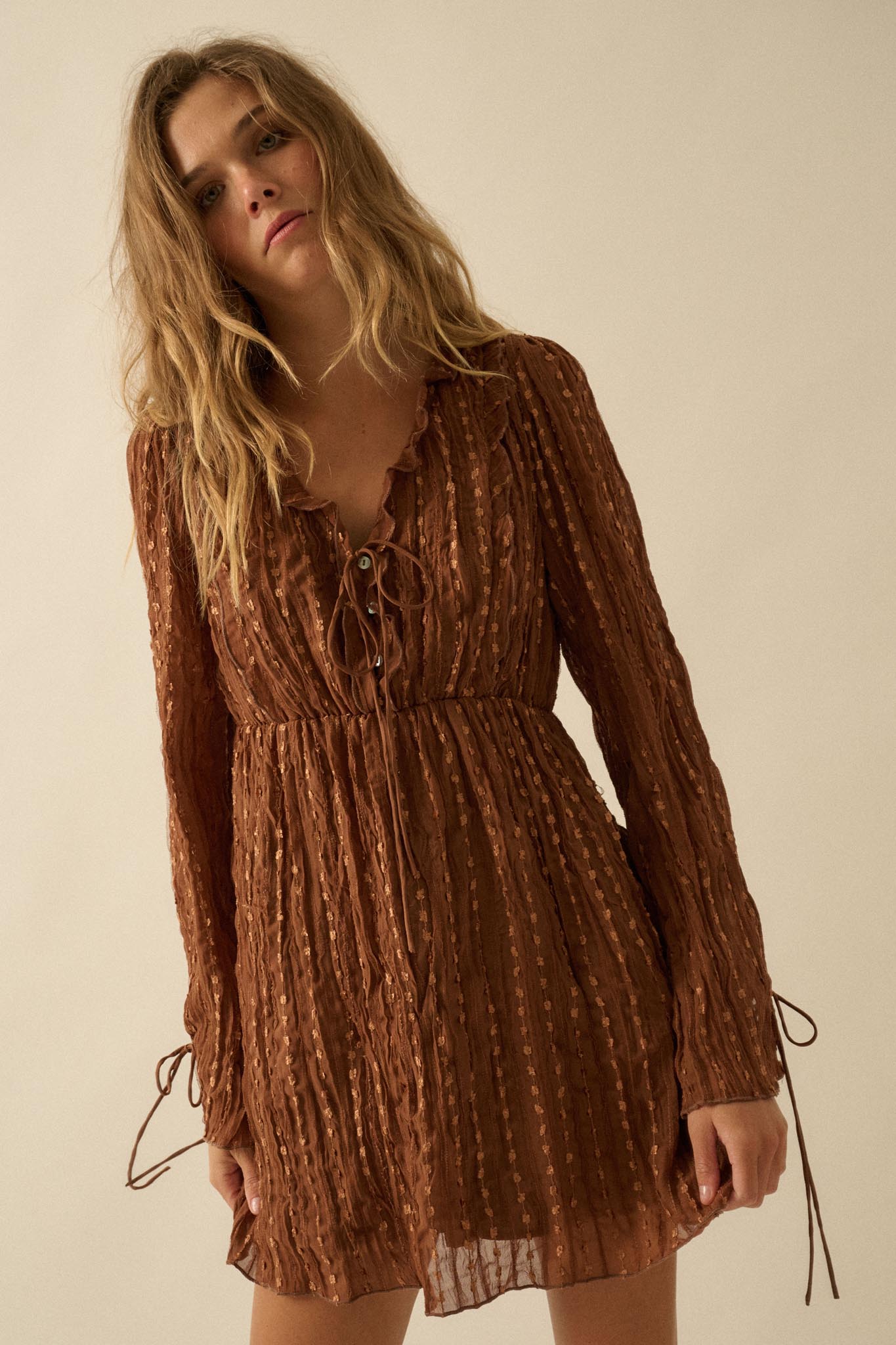 Angelic Beauty Embroidered Chiffon Mini Dress