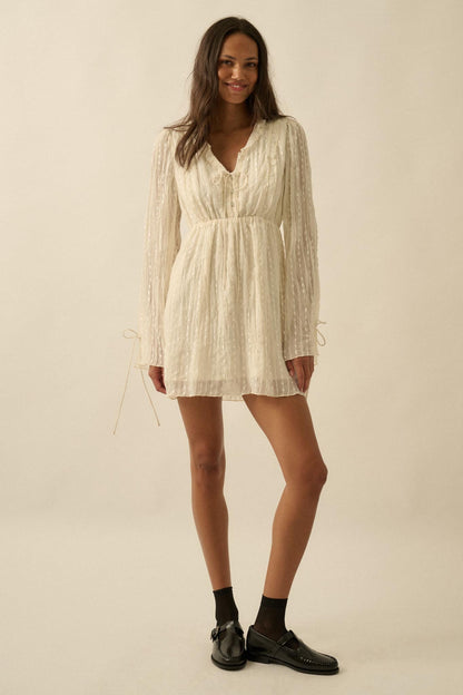 Angelic Beauty Embroidered Chiffon Mini Dress
