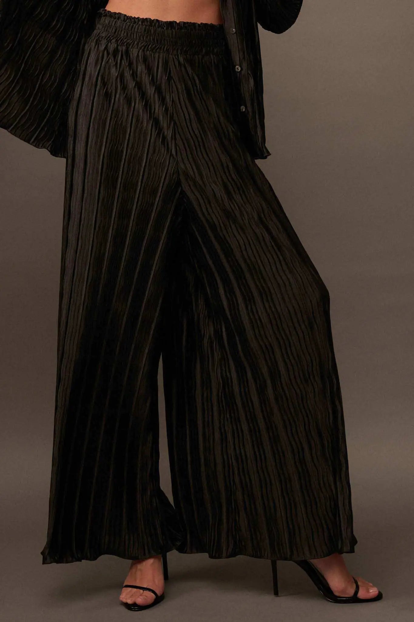 Dark Tide Pleated Wide-Leg Palazzo Pants