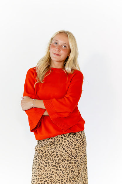 Meryll Cheetah Print Skirt